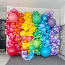 Load image into Gallery viewer, Balloon Variety Balloons (100 Pack, 12 inch round)