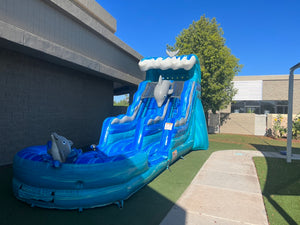 16' Dolphin Water Slide Rental With Pool