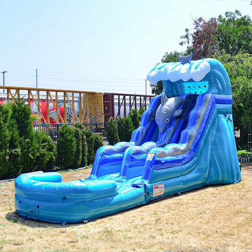 16' Dolphin Water Slide Rental With Pool