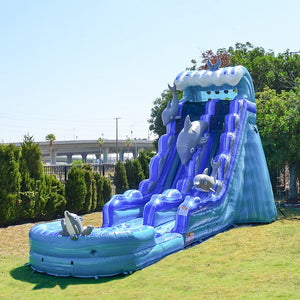 20' Dolphin Water Slide Rental With Pool