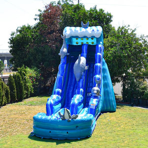 20' Dolphin Water Slide Rental With Pool